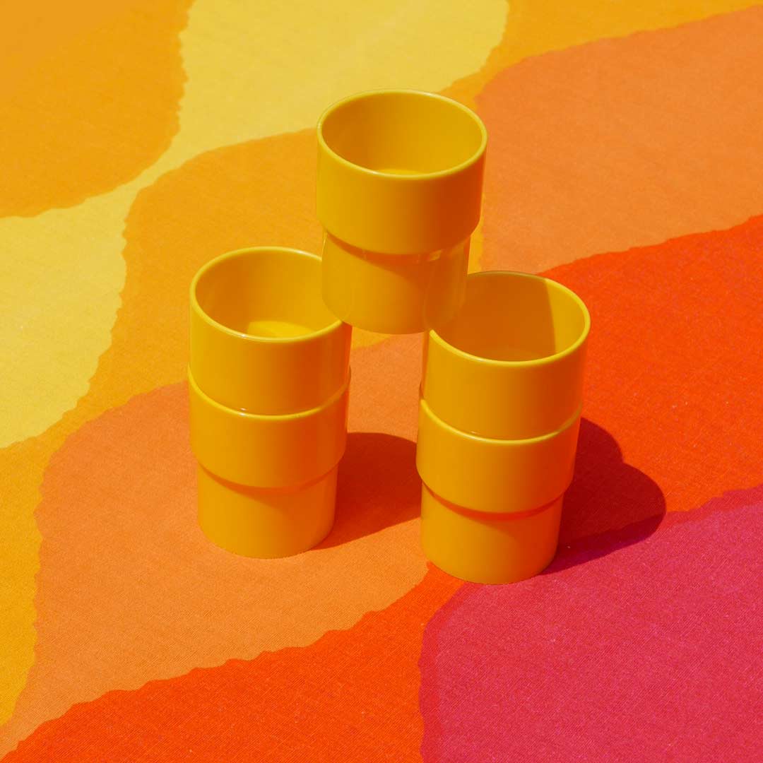 space age picnic set