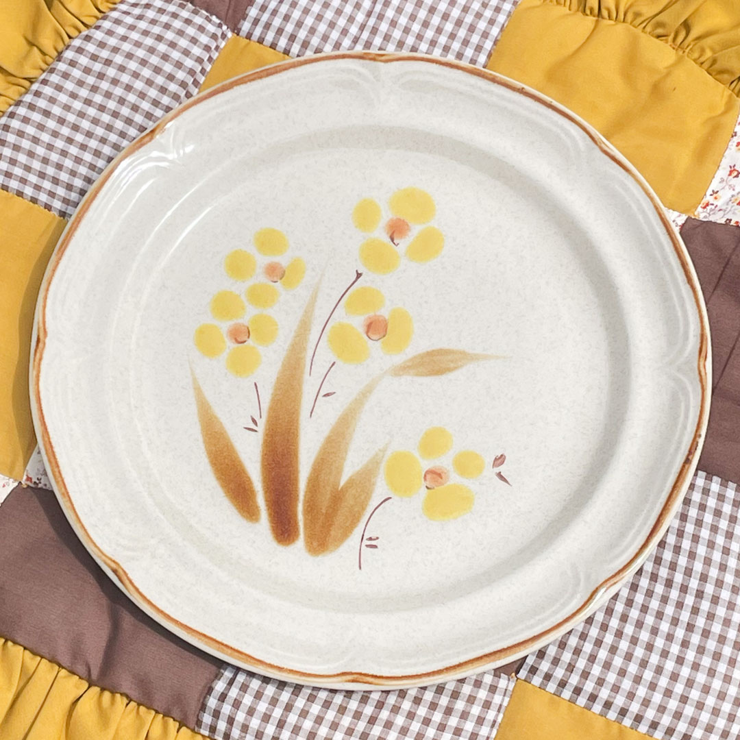 4x daisy dinner plates