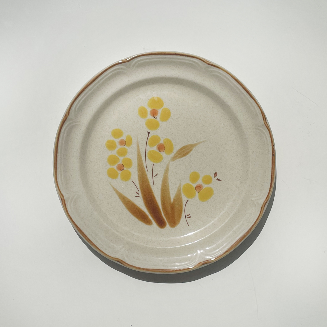 4x daisy dinner plates