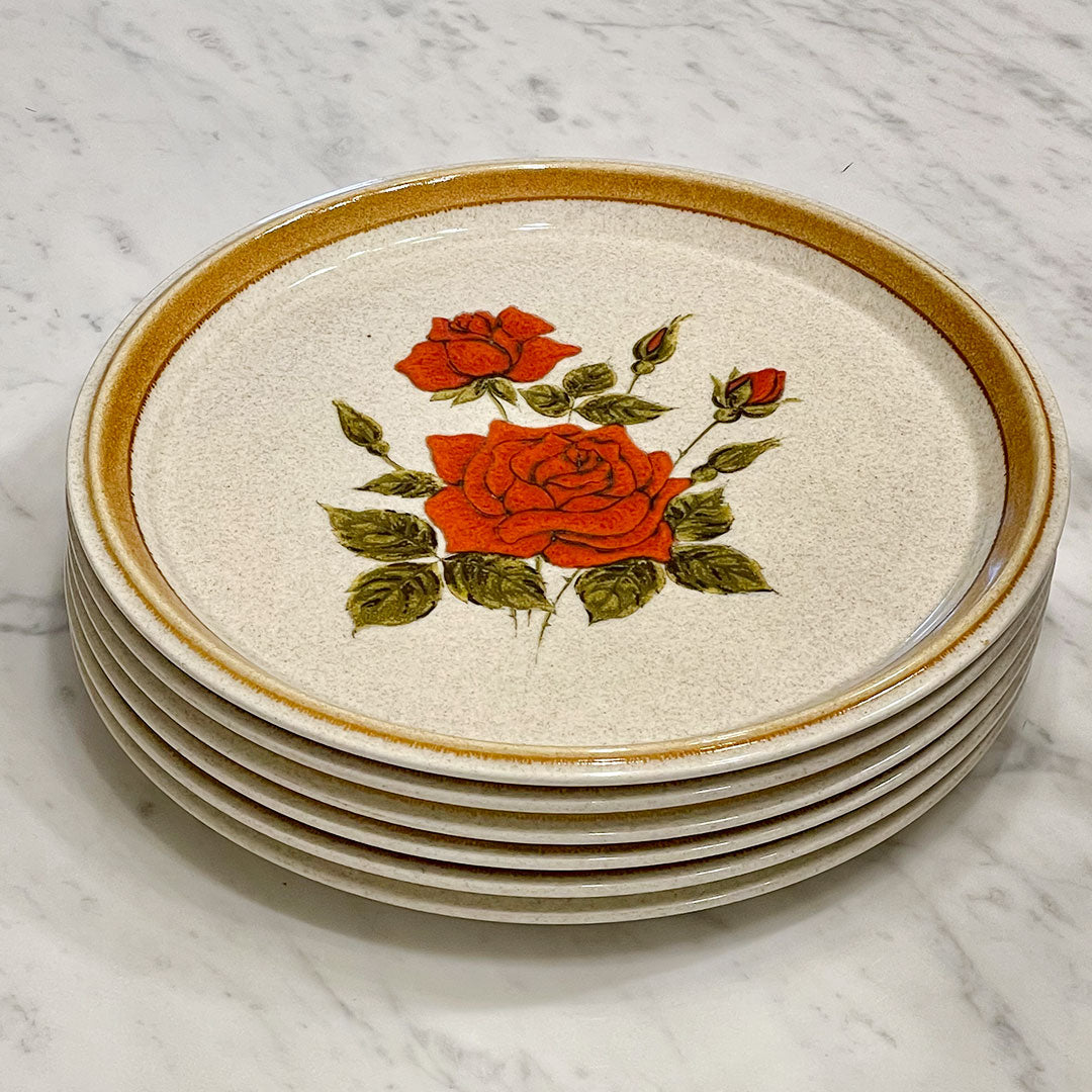 6 Mikasa Japan Stone Manor Red Masterpiece F5814 27cm 10.5" Dinner Plates