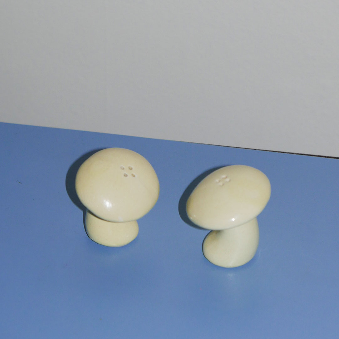 mushroom salt & pepper shaker