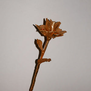 "gold" decorative rose