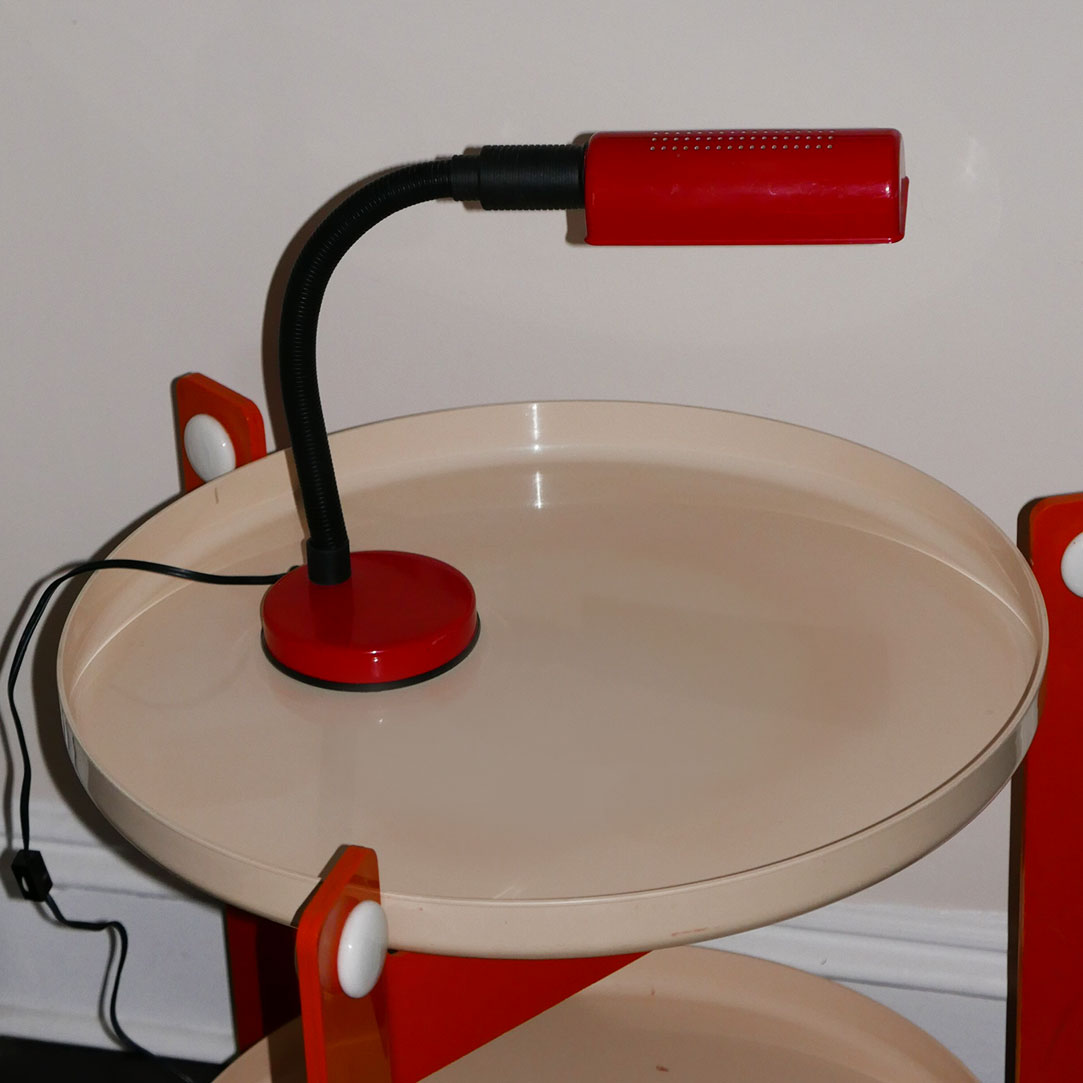 goose neck lamp