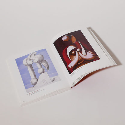 picasso érotique